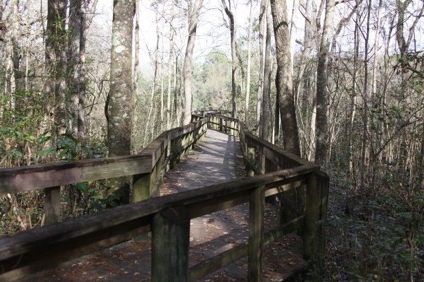 升高的小径图片下载