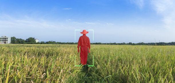 室外运动检测图片下载