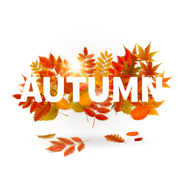 鲜艳的横幅秋季销售图片下载