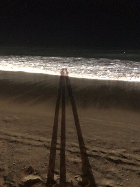 沙滩上的情侣阴影图片下载