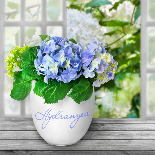 绣球和花盆家居风格图片下载