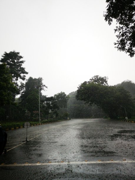 冻结的雨滴图片下载