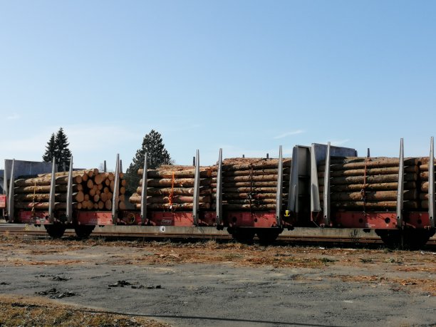 带着树干的铁路货车图片下载