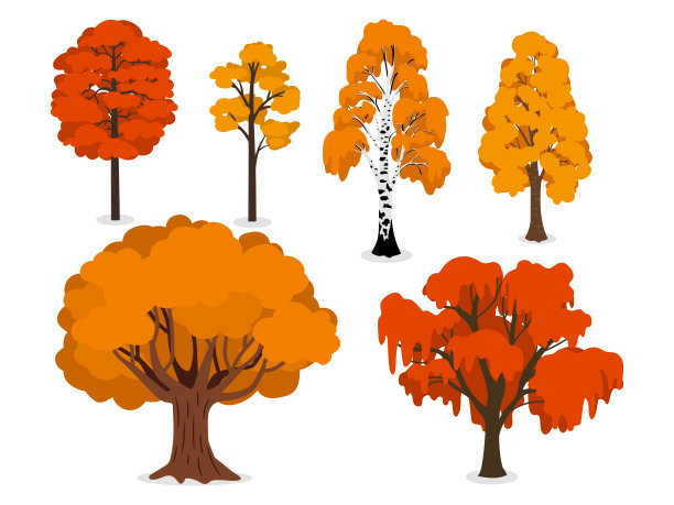 黄色，橙色和红色的森林树木孤立在白色的背景图片下载