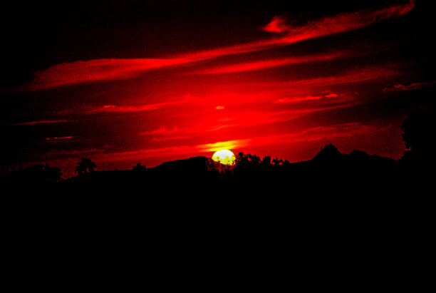 樱桃炸弹图片下载