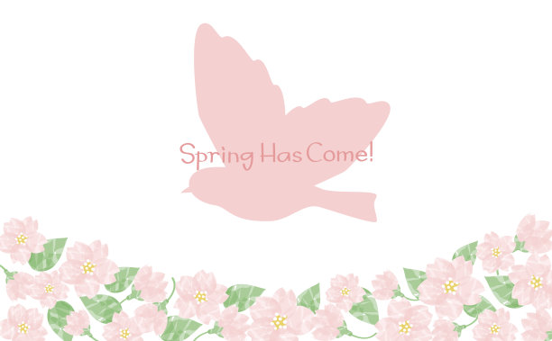 水彩樱桃和鸟的背景图片下载