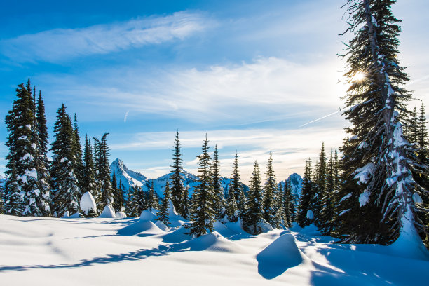 太阳，雷尼尔山国家公园图片下载