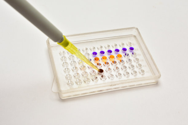 在实验室里。图片下载