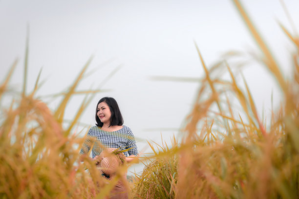 泰国妇女的肖像是站在稻田里，拿着草帽和稻田。农村有机水稻农场农民的生活方式。职业和种植概念。图片下载