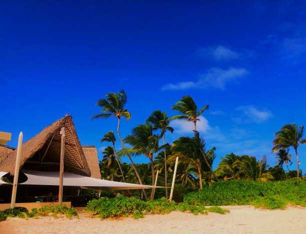 蓬塔卡纳的海滩和餐厅图片下载