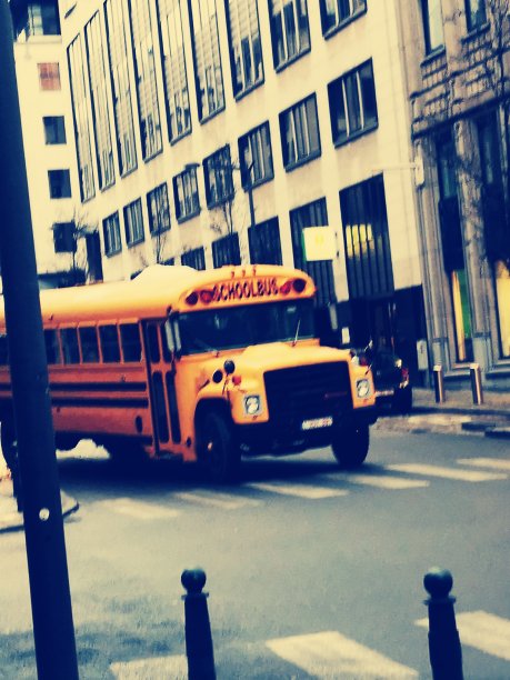 城市里的校车图片下载