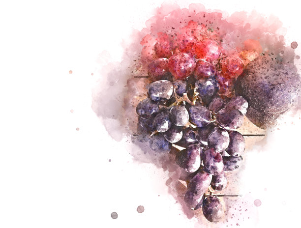 特写牛油果和葡萄在木纹上水彩插画背景。图片下载