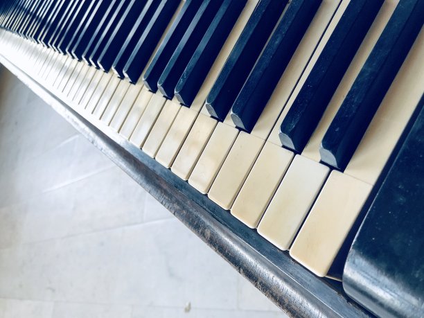 我看到莫扎特图片下载