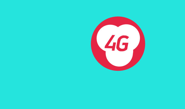 男性手持4g网络概念智能手机图片下载