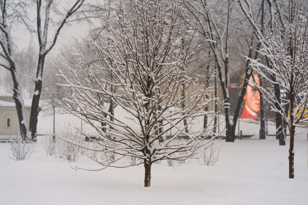 暴风雪过后，城市的公园和街道都被大雪覆盖图片下载