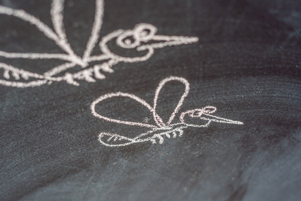 蚊子用粉笔在黑板上画画图片下载