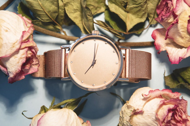 近距离的粉红色玫瑰与手表图片下载