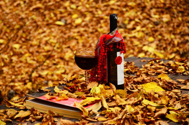 秋叶上红酒书图片下载