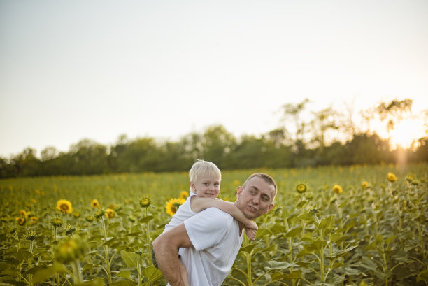 夕阳下，快乐的父亲带着微笑的儿子走在绿色的向日葵盛开的田野上图片下载