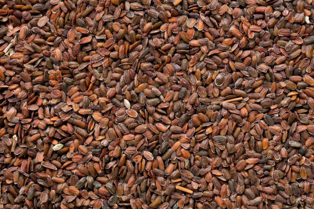 高质量的马提奥拉种子，花在一个纹理的形式为您美丽的花园。可用于种子生产者创造新的精美包装与种子的背景。图片下载