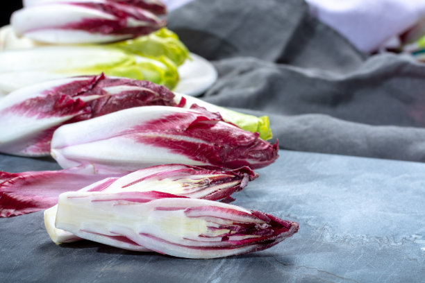 一组新鲜的绿色比利时菊苣或菊苣和红色菊苣蔬菜，也被称为witlof沙拉图片下载