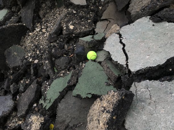 网球的人吗?图片下载