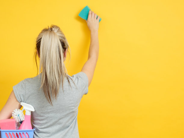 安全的家庭清洁篮供应拷贝空间图片下载