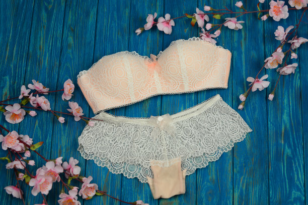 美丽的内衣设置胸罩与内裤图片下载