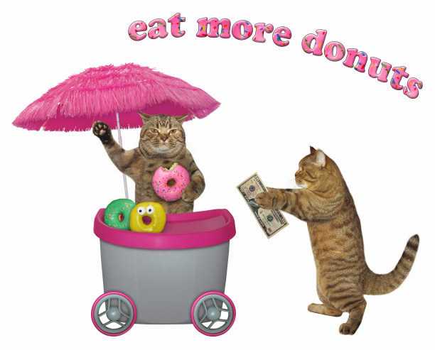 猫在售货亭买甜甜圈图片下载