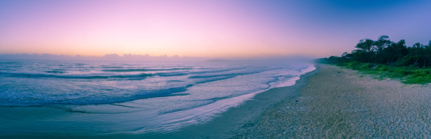 广阔的全景海洋海滩和海岸植被黎明与拷贝空间图片下载