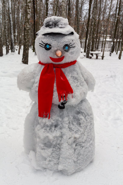 戴着帽子和围巾的雪人在城市公园里图片下载