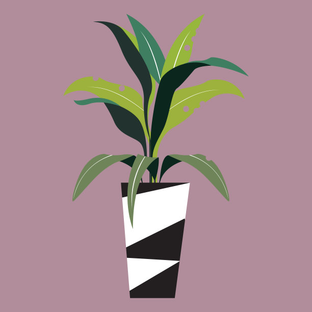 植物插图图片下载