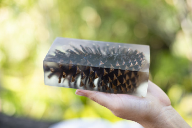 浇注环氧树脂稳定松果蓝色抽象艺术模糊背景图片下载