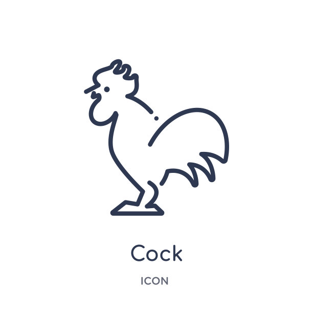线性公鸡图标从动物轮廓集合。细线公鸡图标隔离在白色背景上。公鸡潮流插画图片下载