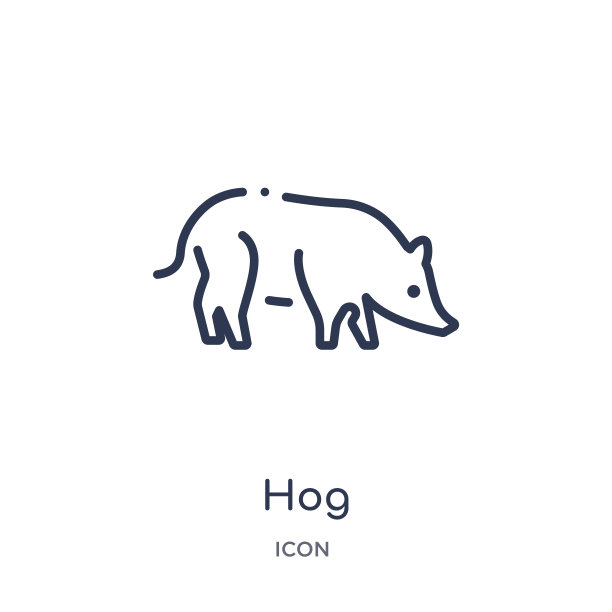 线性猪图标从动物和野生动物轮廓集合。白色背景上的细线猪矢量隔离。猪潮流插画图片下载