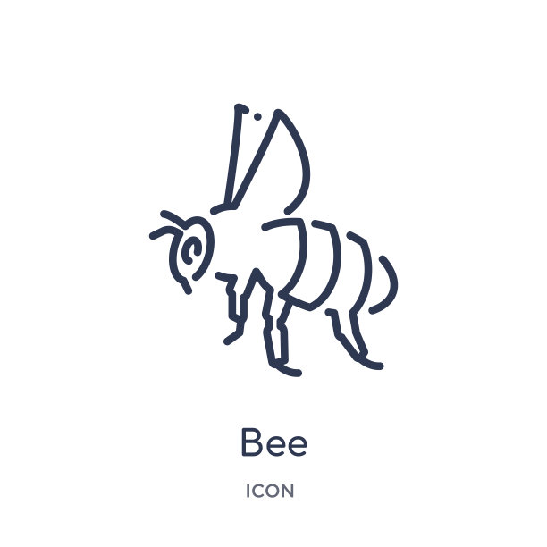 线性蜜蜂图标从动物轮廓集合。细线蜜蜂图标孤立在白色背景。蜜蜂潮流插画图片下载