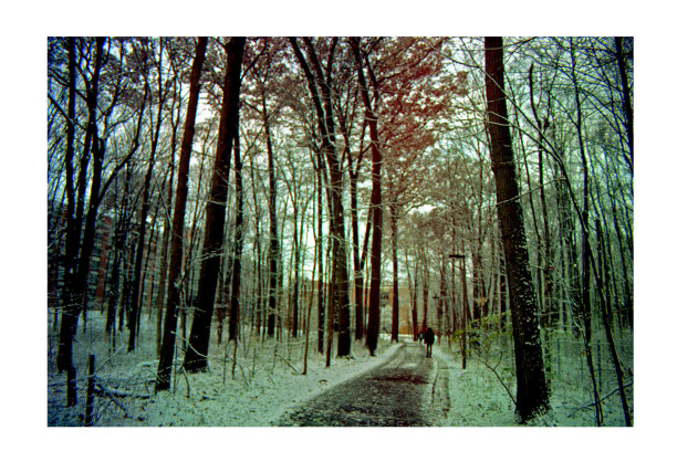 路上秋天图片下载