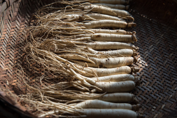 人参在竹篓里图片下载