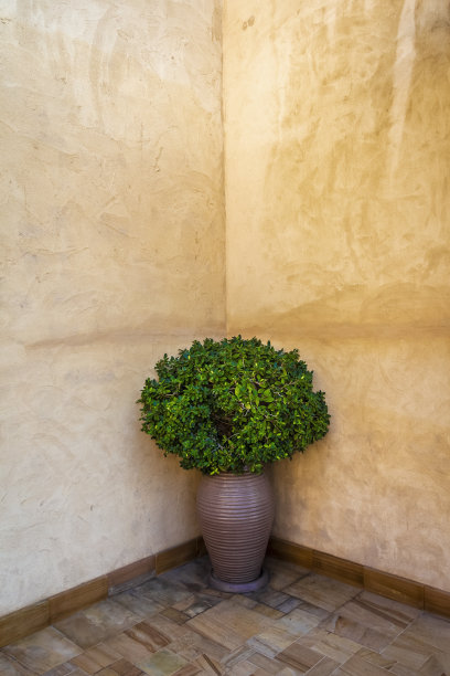 装饰室内花图片下载