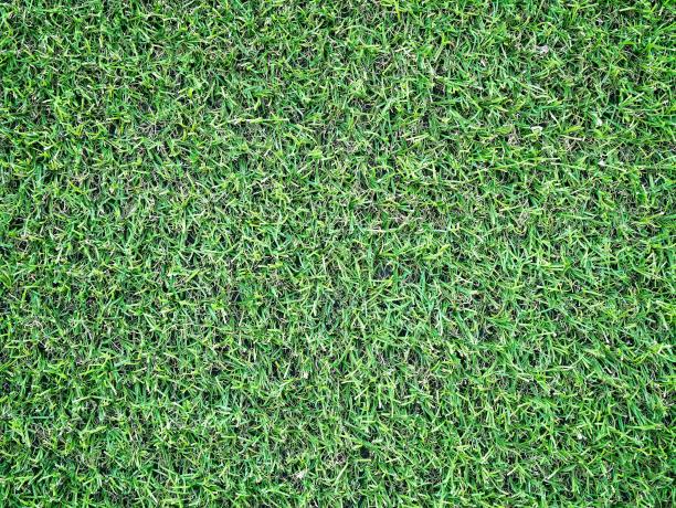 近距离草地足球场图片下载