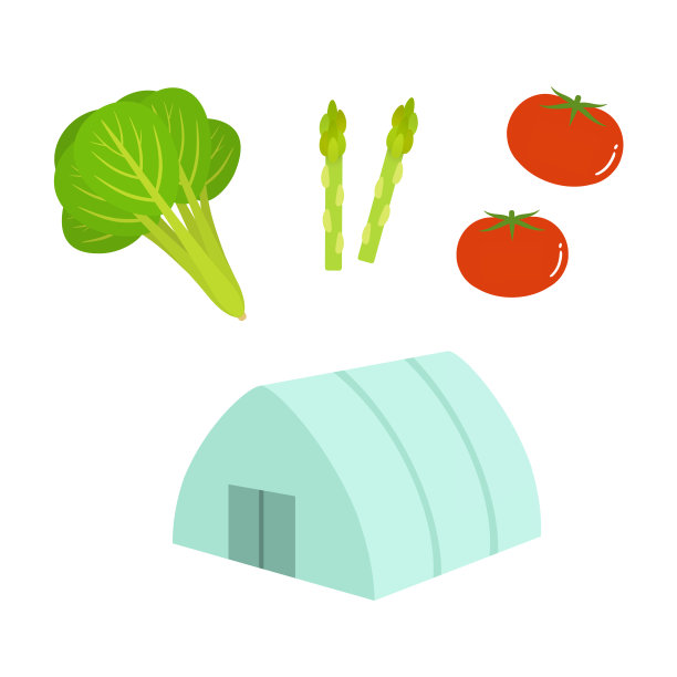 在一个塑料温室里，蔬菜种植完成了图片下载