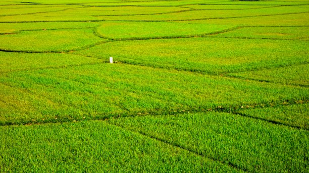 越南盾海下图片下载