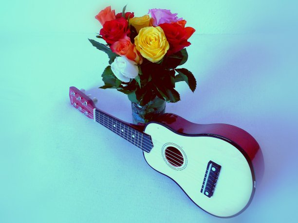 吉他和玫瑰图片下载