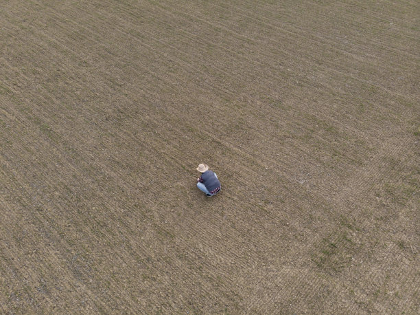 英俊的成年农民在冬末视察他的小麦苗圃。鸟瞰图。图片下载