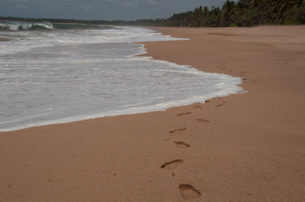 在我的脚下图片下载