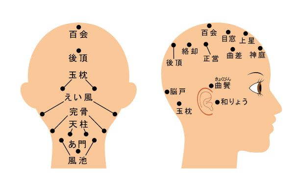 头的名字图片下载