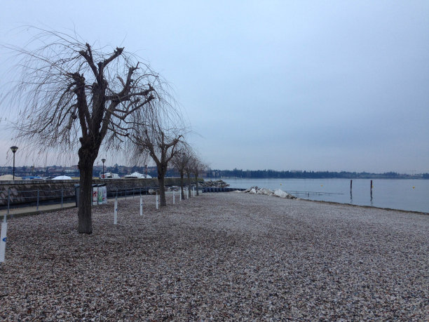 沙漠湖岸图片下载