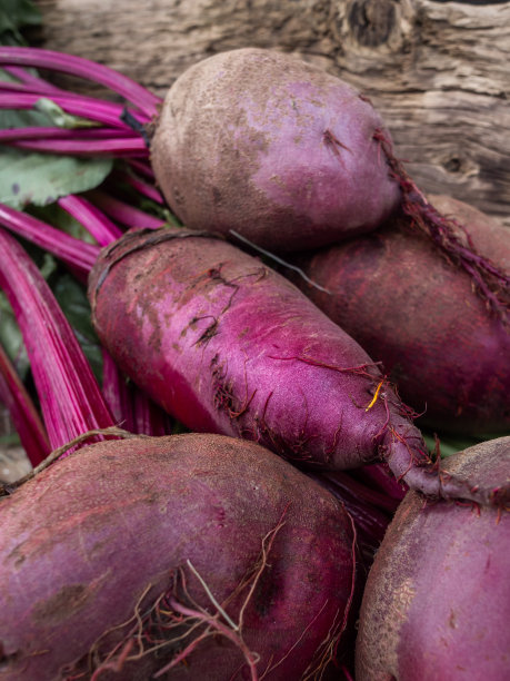 新鲜有机甜菜，甜菜根。图片下载