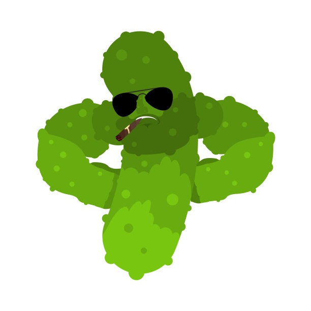 黄瓜强凉严重。蔬菜的严格。矢量图图片下载