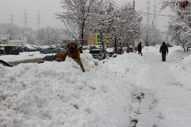 冬天在城里。图片下载